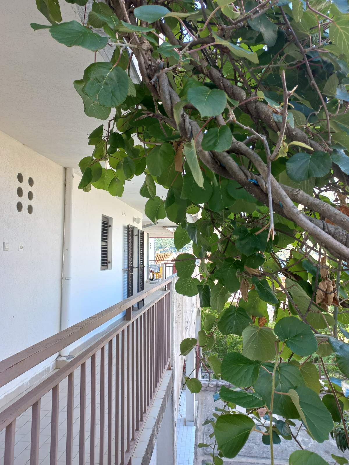 Image of Apartment - 2 Bedrooms - 1 Bathrooms for Sale in Kotor-Stoliv-Montenegro, Image 1