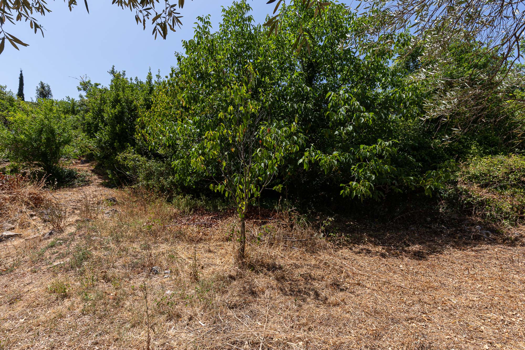 Image of House - 4 Bedrooms - 2 Bathrooms for Sale in Kotor-Montenegro, Image 13