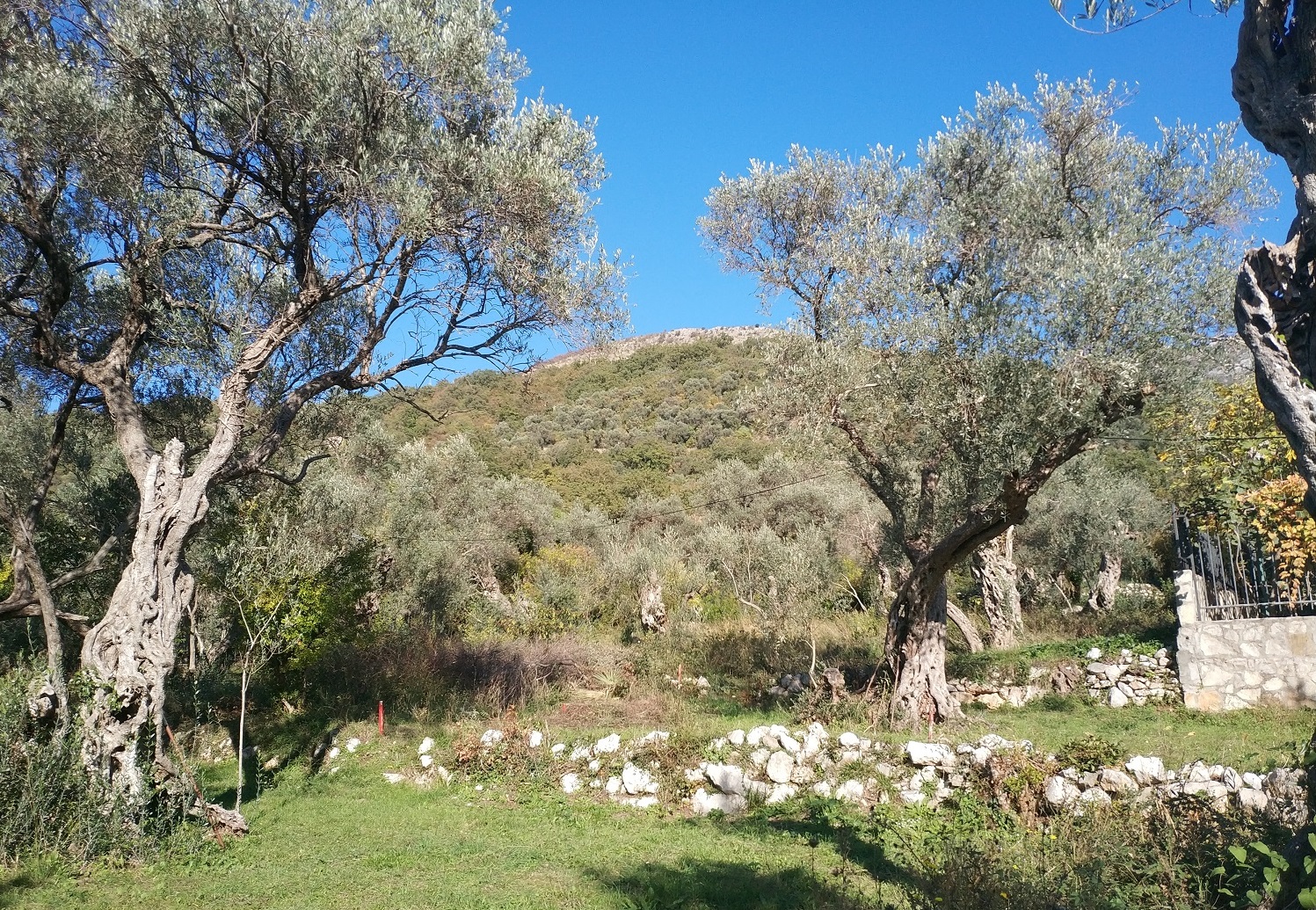 Image of Plot for Sale in Budva-Kamenovo-Montenegro, Image 1