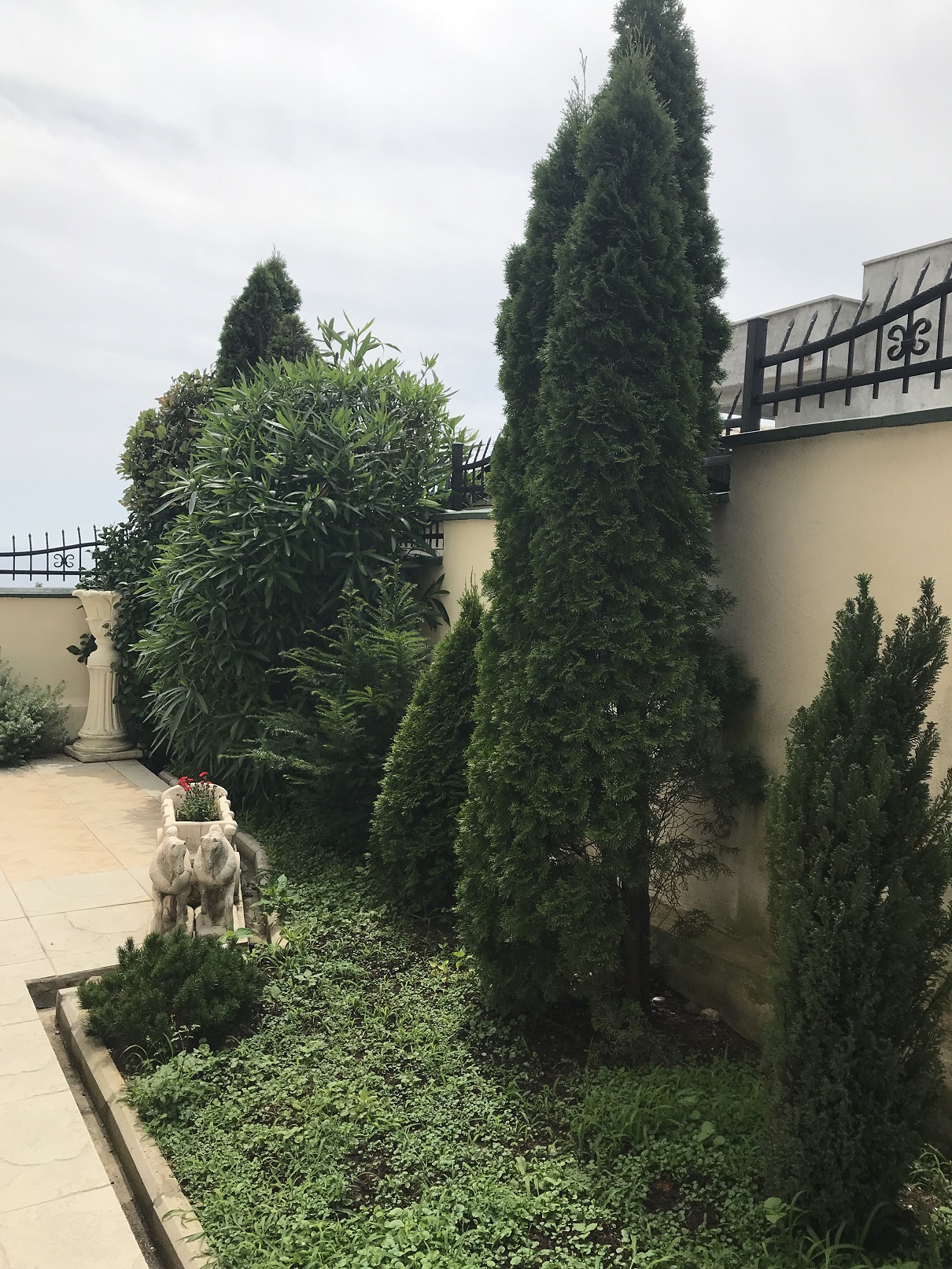 Image of House - 3 Bedrooms - 2 Bathrooms for Sale in Bar-Bar-Montenegro, Image 4