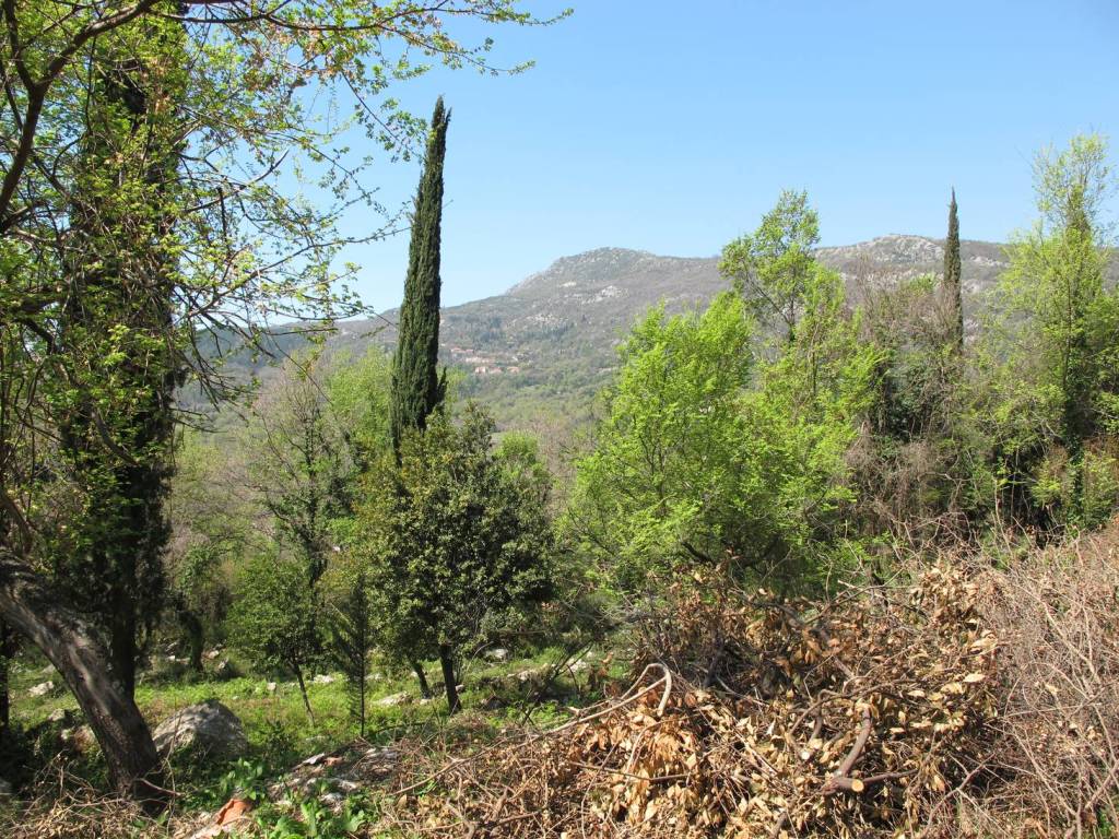 Image of Plot for Sale in Herceg-Novi-Herceg Novi-Montenegro, Image 1