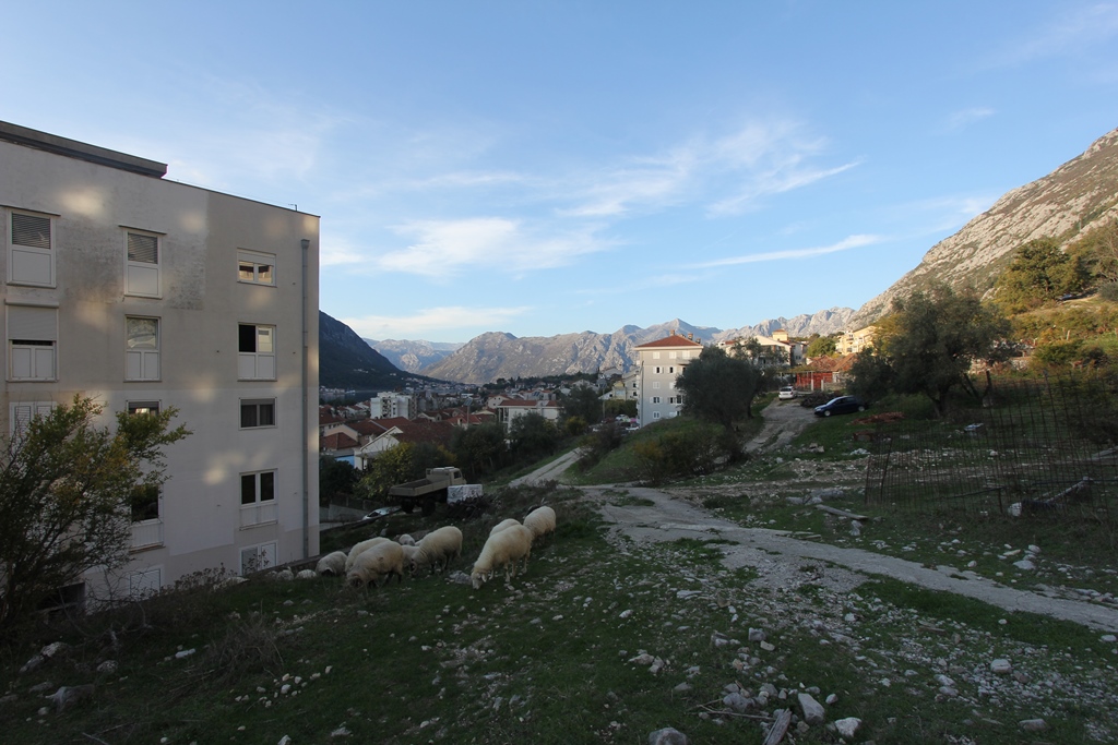 Image of Plot for Sale in Kotor-Dobrota-Montenegro, Image 11