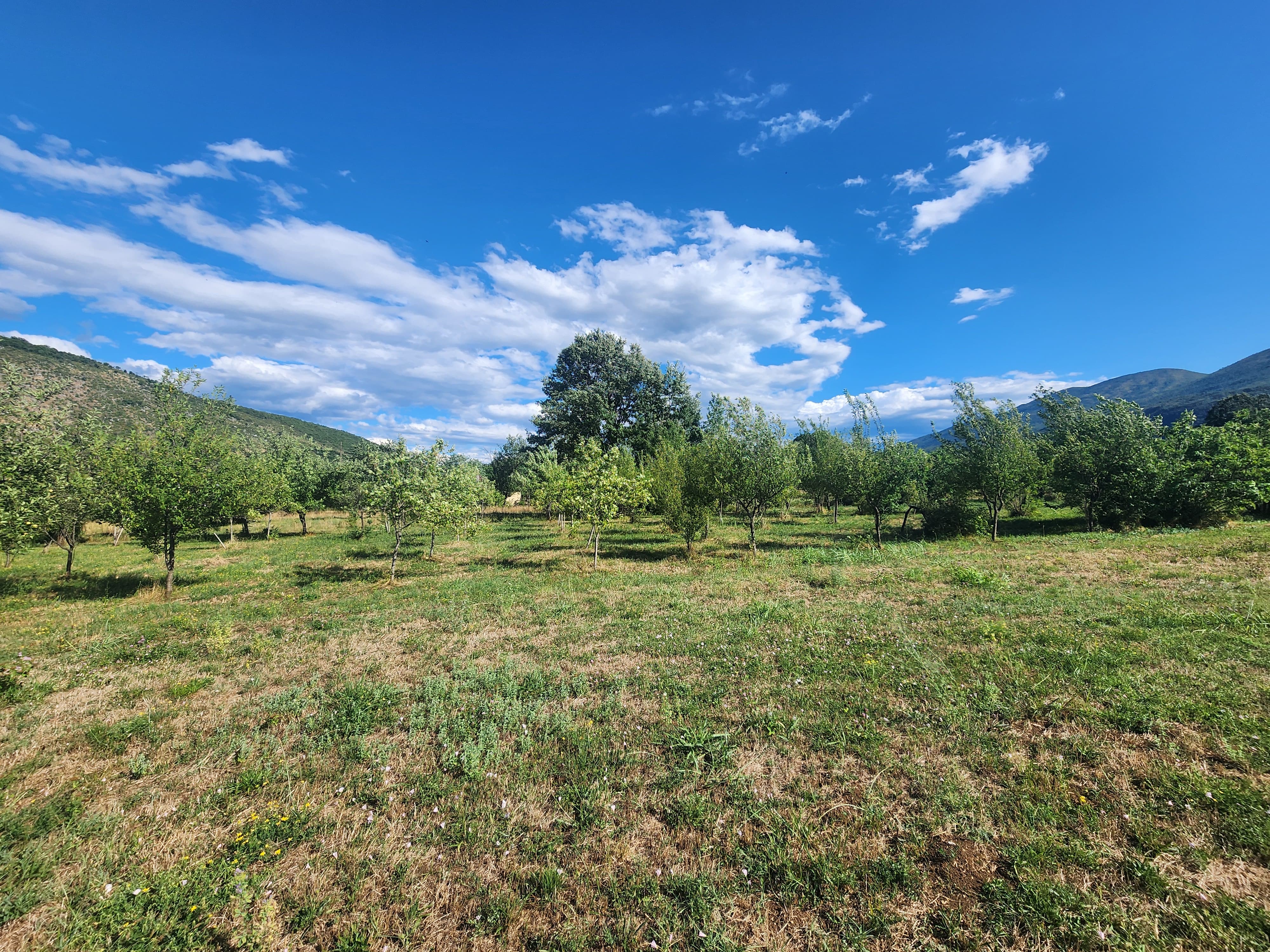 FOR SALE – Family property with large land and orchard, near Danilovgrad   Montenegro