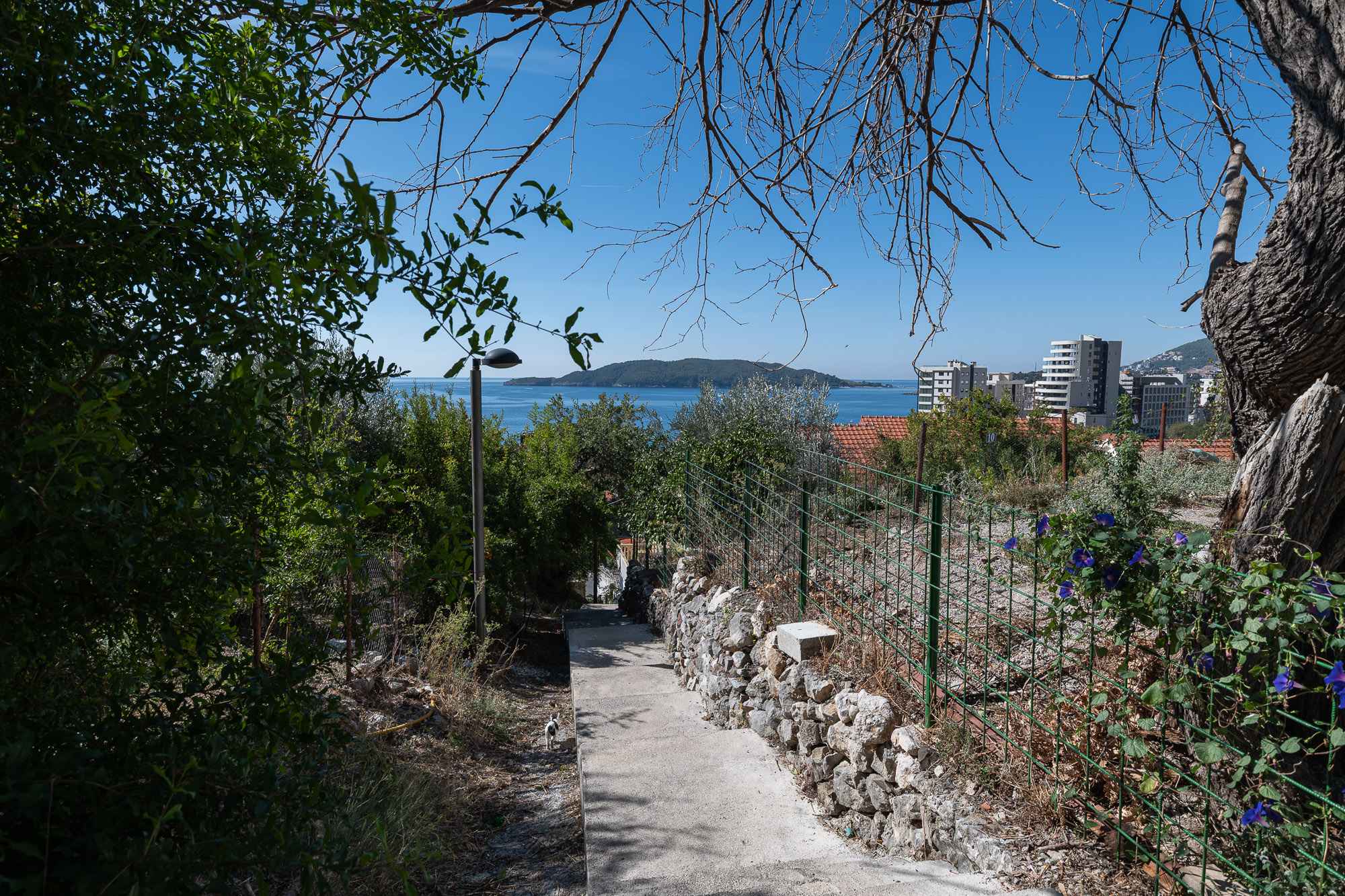  Image of Apartment - 1 Bathrooms for Residential For Sale in Budva-Becici-Montenegro, Image 30