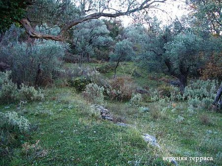 Plot in Bar — photo 3