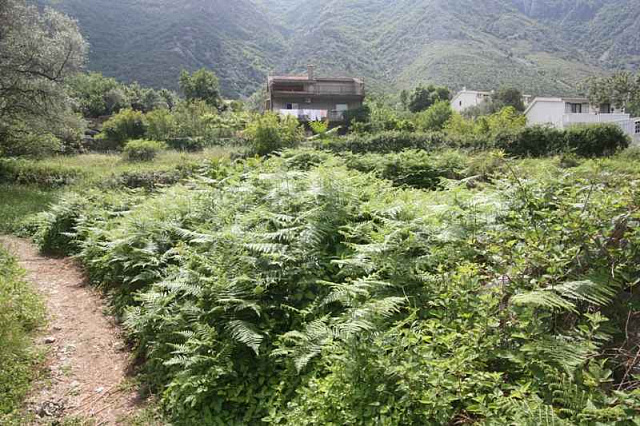 Land plot in Kotor — photo 4