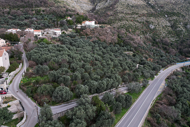 FOR SALE – EXCLUSIVE BUILDING LAND IN REŽEVIĆI, MONTENEGRO — photo 9
