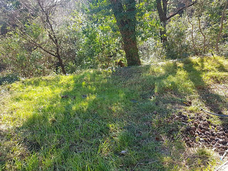 Plot in Lazi