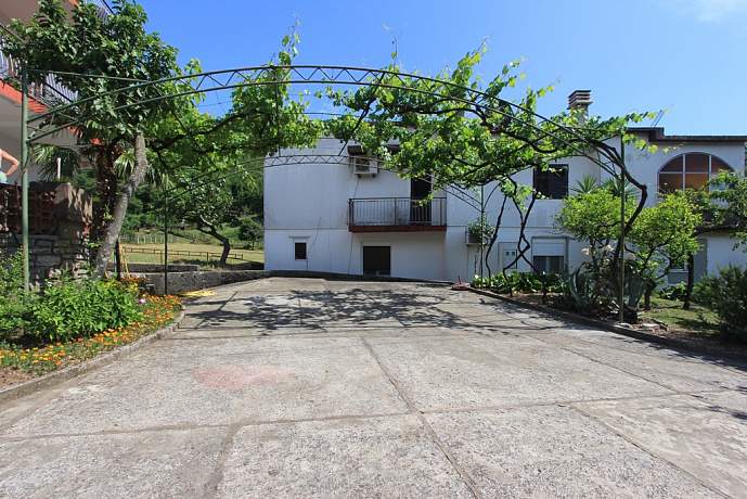 A spacious house with a large yard in Zelenika