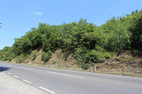 Plot in Radanovici