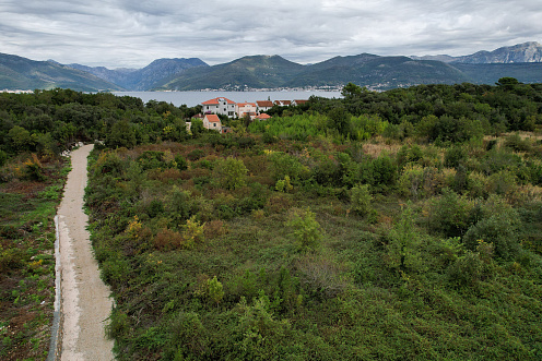 Plot in Gosici