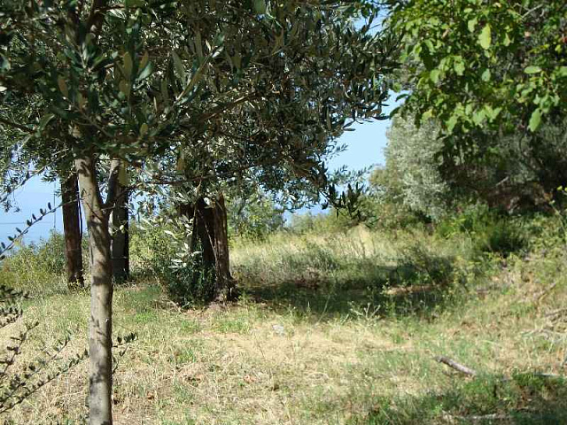 Plots in Rezevici — photo 6