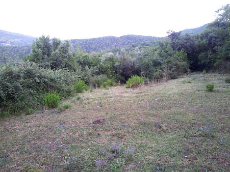 Land in Herceg Novi