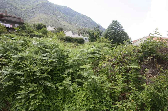 Land plot in Kotor