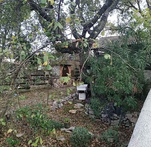 One-storey house for sale in Krimovica  — photo 5
