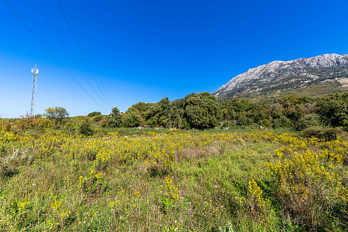 Plot in Bar-Pečurice 2003m²