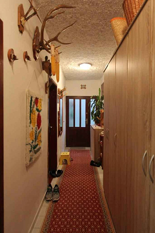 Mountain view house in Topla — photo 7