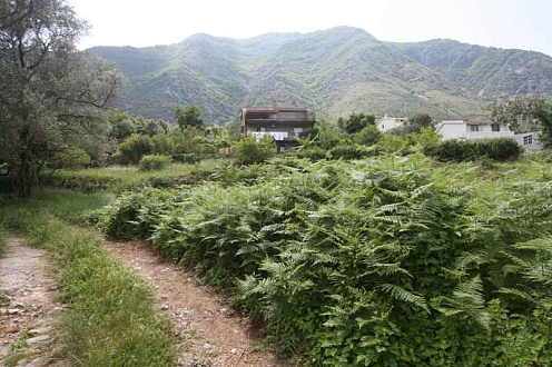 Land plot in Kotor
