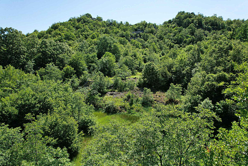 ATTRACTIVE LAND FOR SALE IN CETINJE – 1,000 m² BY THE ROAD — photo 2