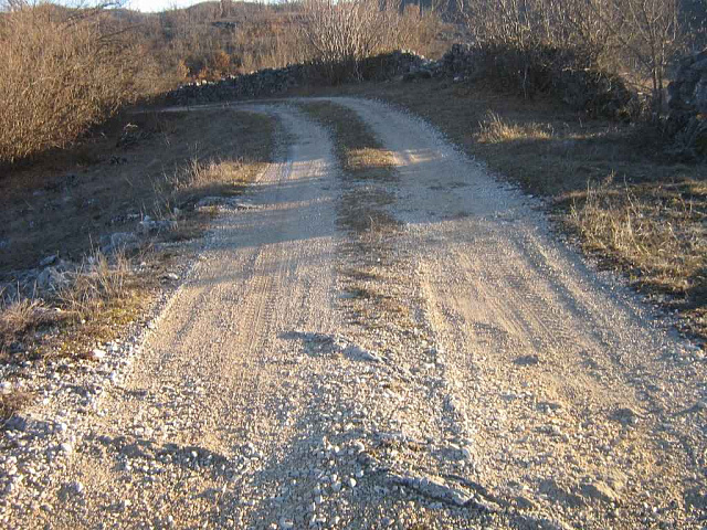 Plot in Vilusi — photo 8