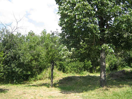 Plot in Vilusi