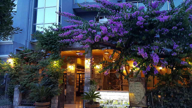 Commercial Hotel Opportunity Near Budva — photo 19
