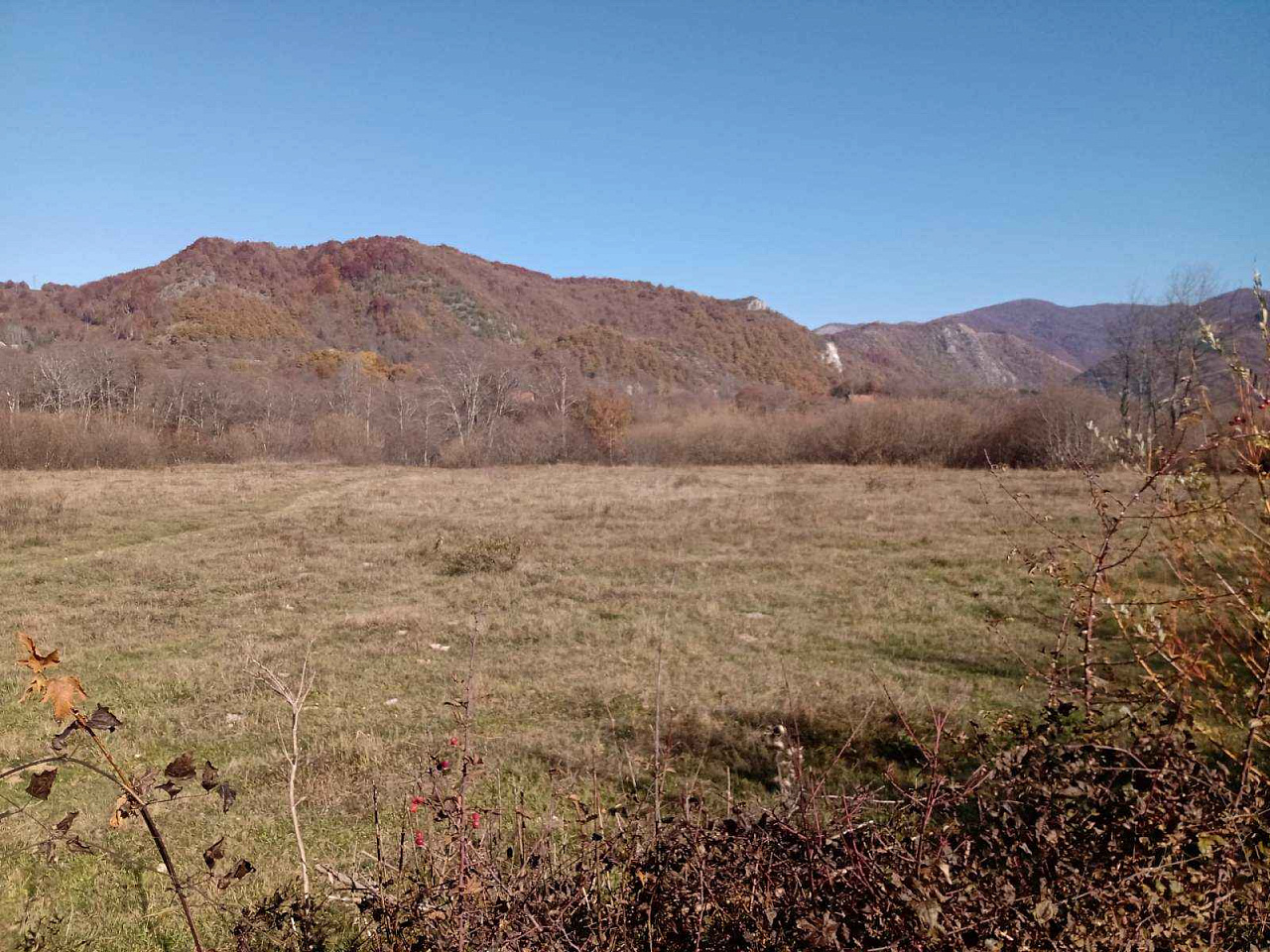 Plot in Kolasin