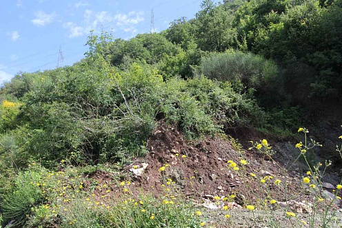 Plot Lastva Grbaljska — photo 2