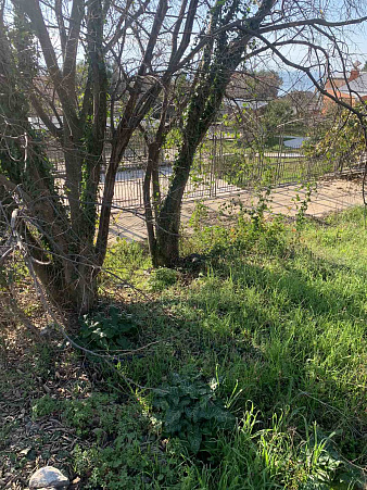 Plot with sea view — photo 3