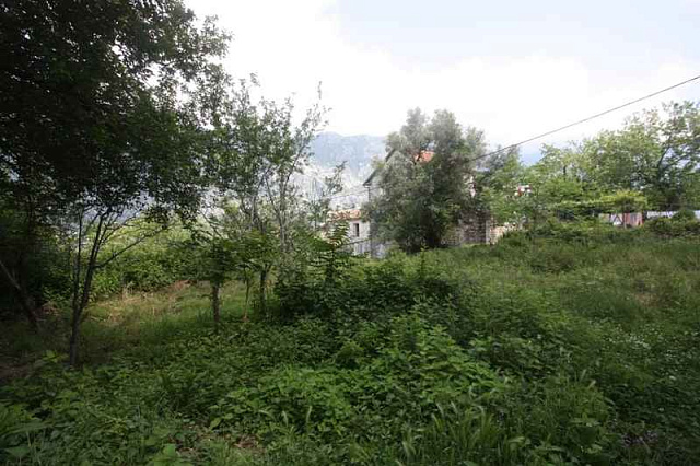 Land plot in Kotor — photo 10