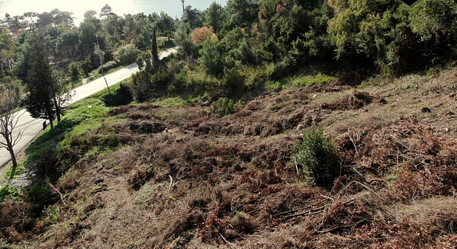 Plot in Kumbor