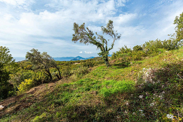 Plot for sale in Reževići, 975 m² — photo 6