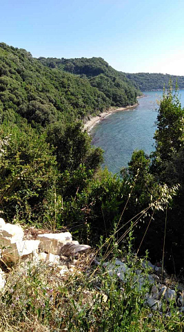 Plot in Dobre Vode — photo 9