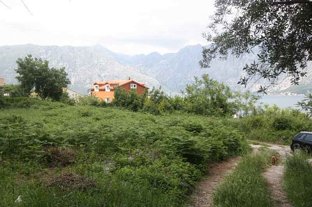 Land plot in Kotor — photo 8