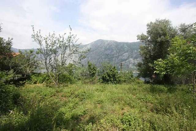 Land plot in Kotor — photo 11