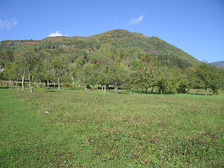 Land in Kolasin — photo 2