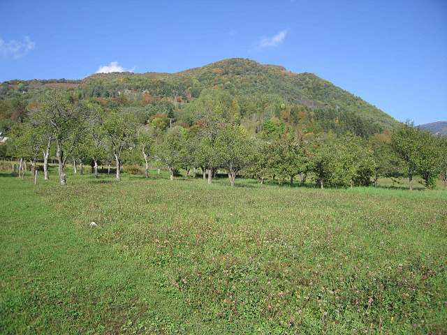 Land in Kolasin