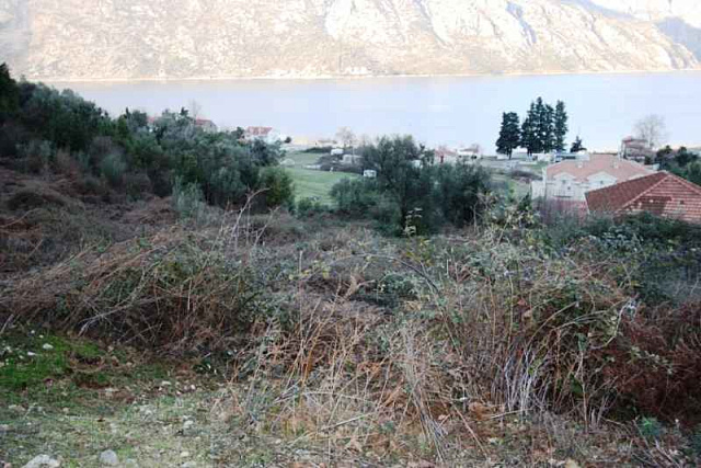 716 Kotor Stoliv Plot 7684m2 — photo 3