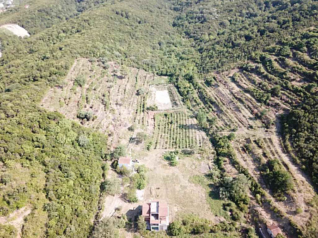  Plot in Radanovići, 83,000 m² — photo 2