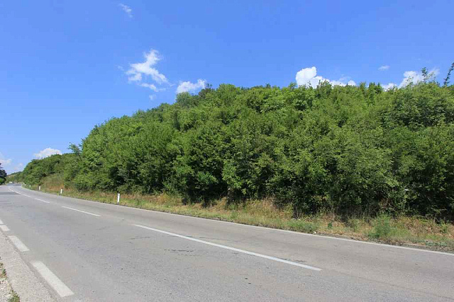 Plot in Radanovici — photo 5