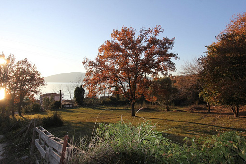 Plot in Kumbor