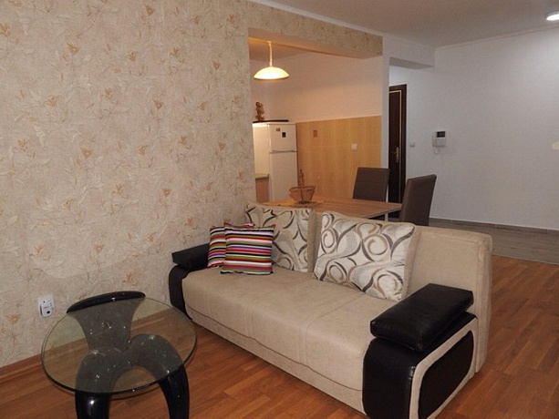 A cosy apartment in Petrovac