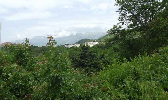 Land in Tudorovici — photo 4