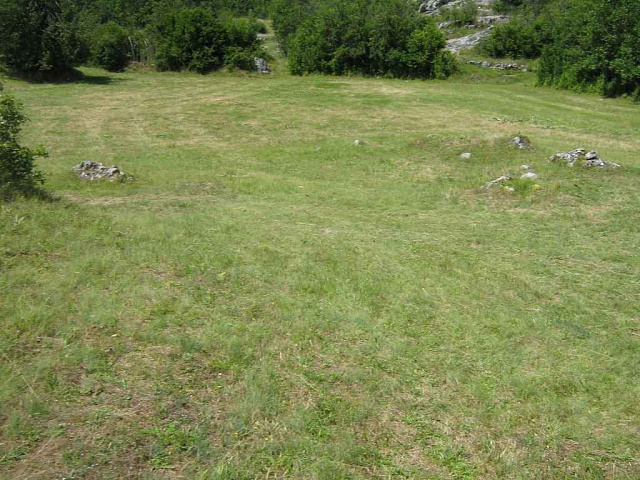 Plot in Vilusi — photo 4