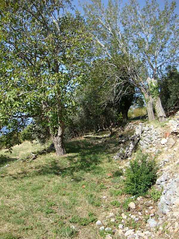 Plots in Rezevici — photo 5