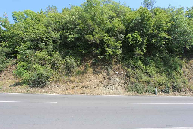 Plot in Radanovici