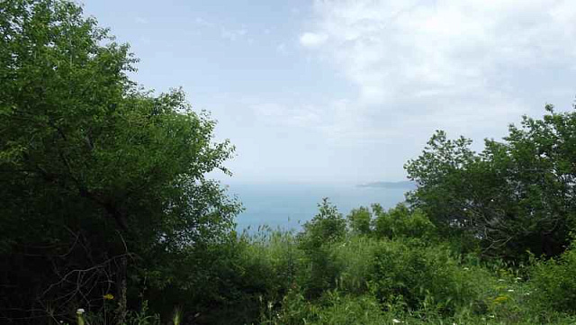 Land in Tudorovici — photo 5