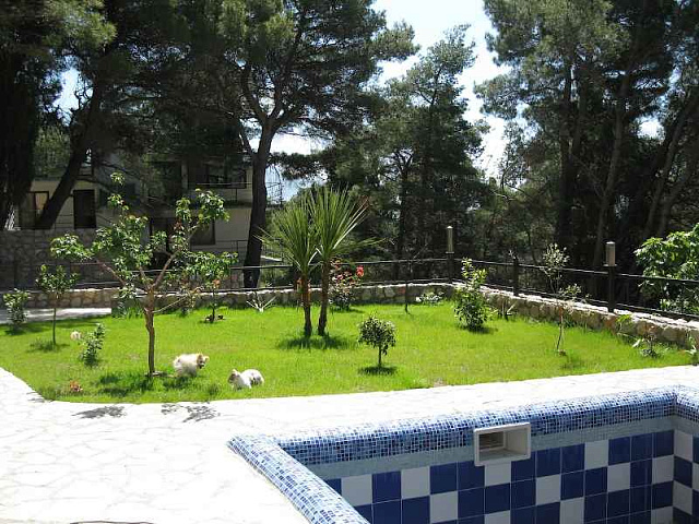 A new villa with swimming pool in Bar — photo 6