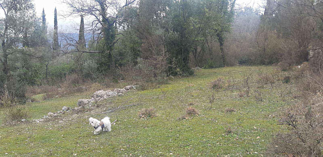 Plot of 9800 m2 in one of the districts of Herceg Novi - Mojdez