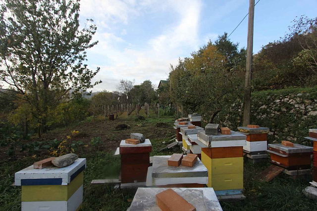 Plot in Mokrine  — photo 5